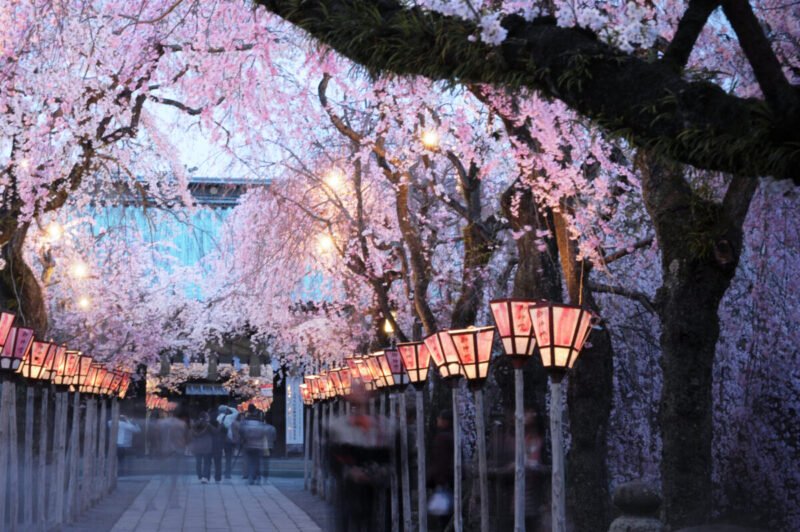 🏞️ 미시마 시립공원 라쿠주엔 이미지 10